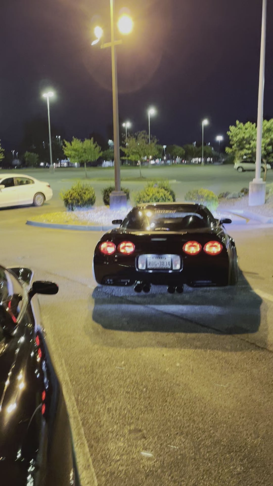 C5 OE Style Clear LED Third Brake Light